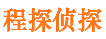 广阳市侦探公司